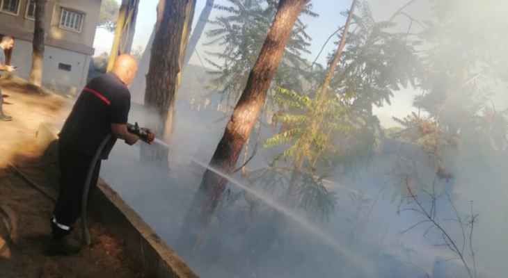 الدفاع المدني أخمد حريق أعشاب و اشجار في عاريا - بعبدا