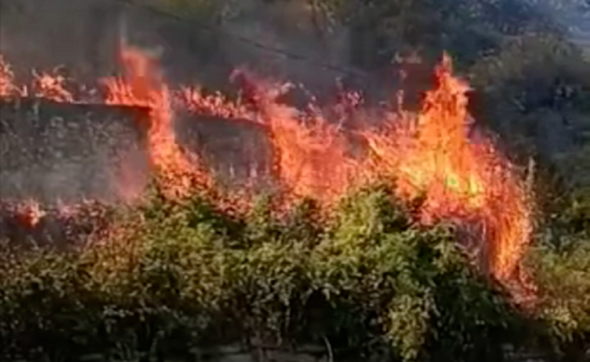 الدفاع المدني أخمد حريقًا في بخعون قضى على مساحة واسعة من الأراضي الزراعية