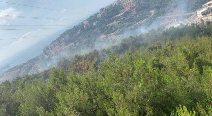 الدفاع المدني: السيطرة على النيران بأحراج رومية واستمرار عمليات تبريد رقعة الحريق منعا من تجدده