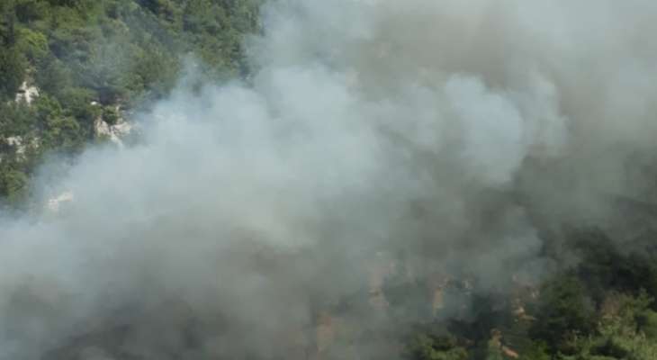 حريق كبير بالقرب من حرج السفيرة للصنوبر البري الأكبر بلبنان في الضنية