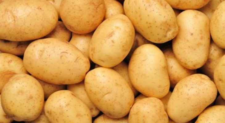 نقابة العاملين في زراعة البطاطا: أسعار المحلية دون نصف التكلفة الفعلية