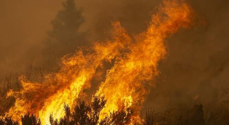 حاكم كاليفورنيا:التغير المناخي هو السبب الرئيسي لحرائق الغابات