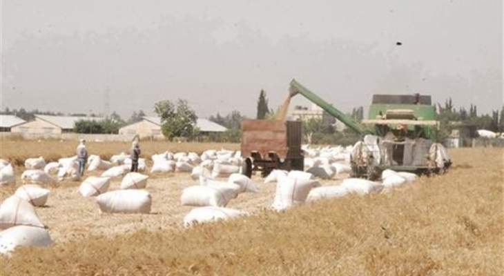 مزارعو القمح: لضم المؤسسات الزراعية وكل ما يتعلق بها لقرار الإعفاءات