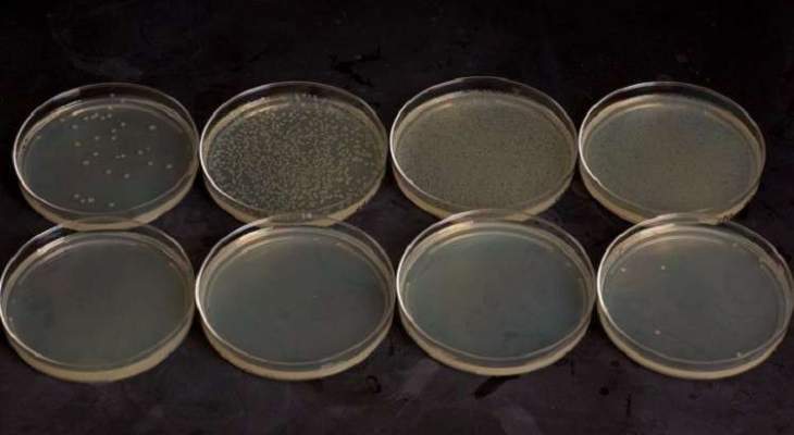 العلماء يسخرون "البكتيريا الانتحارية" في خدمة الإنسان