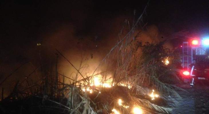 الدفاع المدني: اخماد حريق اعشاب و قصب في طبرجا