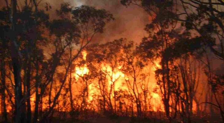 إجلاء 4 آلاف شخص من كبرى جزر الكناري بسبب حرائق الغابات