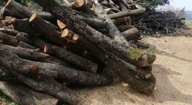 الحركة البيئية اللبنانية نشرت صورًا تظهر قطع الأشجار في شحتول بهدف بيع الحطب
