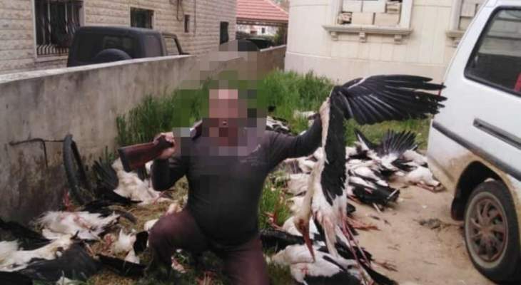 قوى الأمن: توقيف شخصين في غزة البقاعية بسبب اصطياد طيور اللقلق الممنوع صيدها