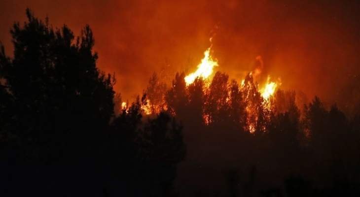 اندلاع حريق ضخم في منطقة غور الأردن