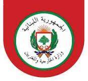 وزارة الخارجية تدين الهجمات الإرهابية في مدينة العريش بسيناء