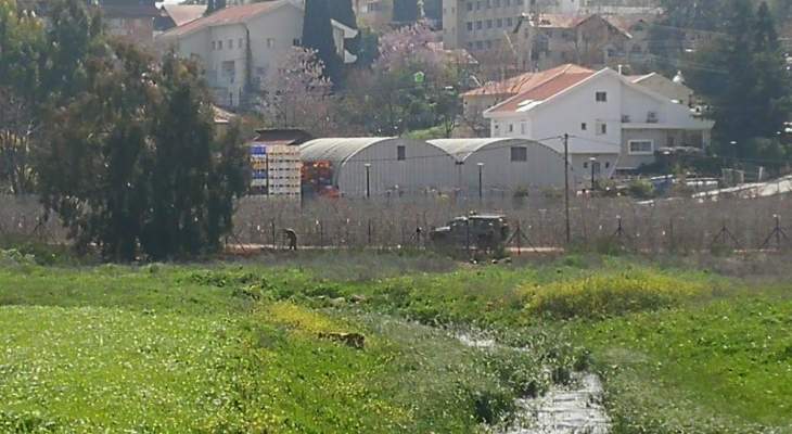النشرة: دورية اسرائيلية اطلقت طلقات تحذيرية باتجاه رعاة ماشية في سهل مرجعيون