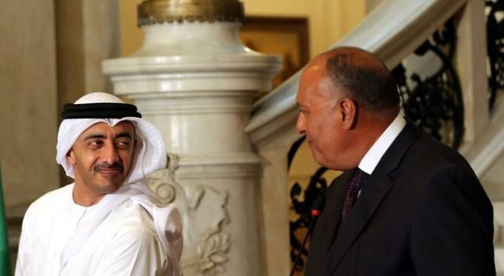 وزير الخارجية الإماراتي يبحث الوضع في شرق المتوسط مع نظيره المصري