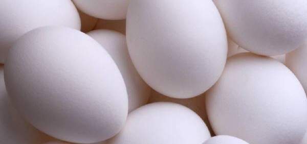 اكتشاف بيض دجاج عمره 2500 سنة