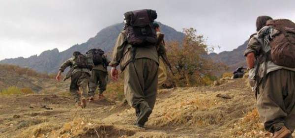 الاناضول: مسلح من "العمال الكردستاني" سلم نفسه للأمن التركي بديار بكر