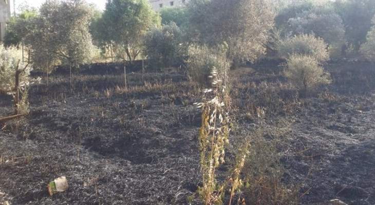 الدفاع المدني: إخماد حريق شب في أعشاب يابسة في ميس الجبل
