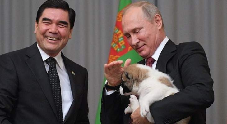 رئيس تركمانستان أهدى بوتين جروا من فصيلة "الأباي"