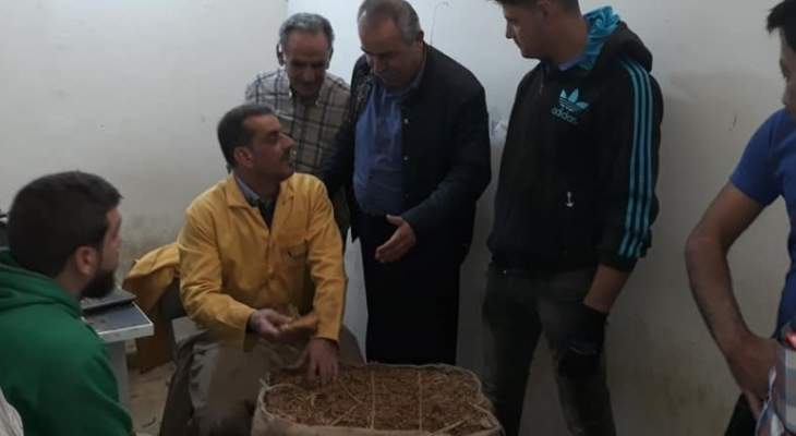حسن فقيه: لإدخال مزارعي التبغ في لبنان والجنوب في صندوق الضمان الإجتماعي