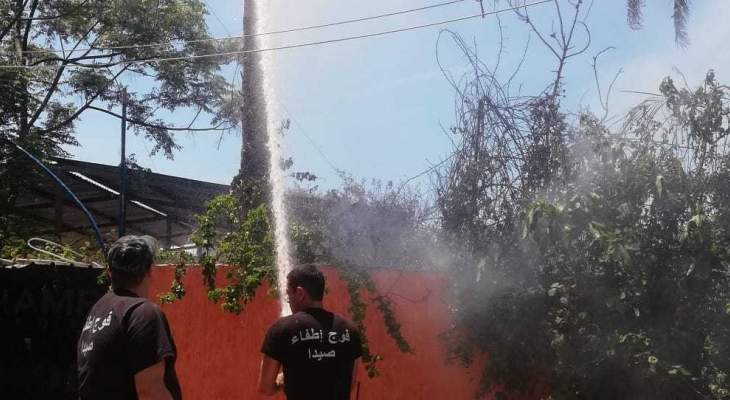 النشرة: اخماد حريق بستان اشجار في زاروب حشيشو في صيدا
