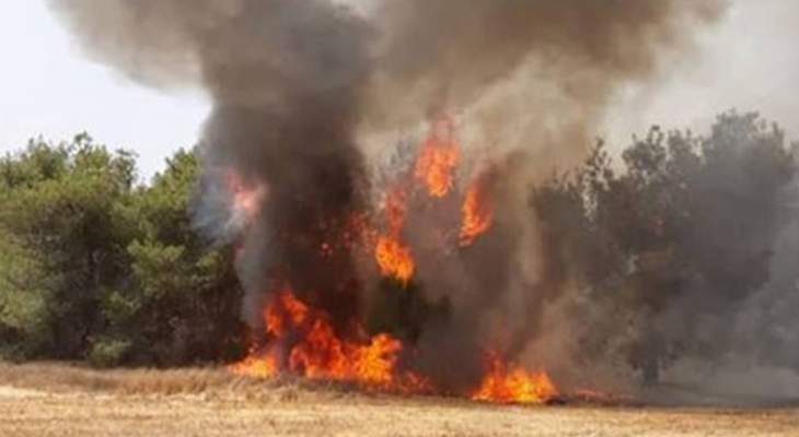 إعلام إسرائيل:إندلاع حرائق في كيسوفيم وبئيري بسبب طائرات ورقية أطلقت من غزة