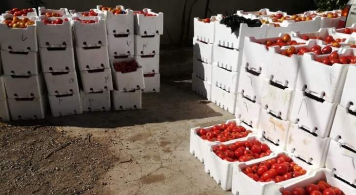 الضابطة الجمركية بالبقاع ضبطت 3 أطنان من البندورة السورية في سوق قب الياس