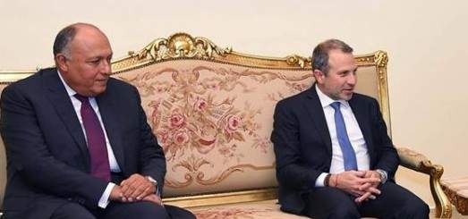 باسيل التقى وزير الخارجية المصري