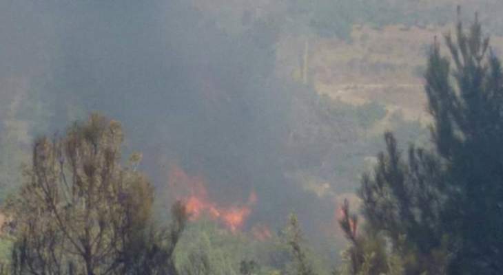 إخماد حريق في جويا أتى على مساحة كبيرة من الأشجار القريبة من المنازل