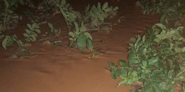 سيول في بلدة يونين تلحق أضرار كبيرة في المزروعات