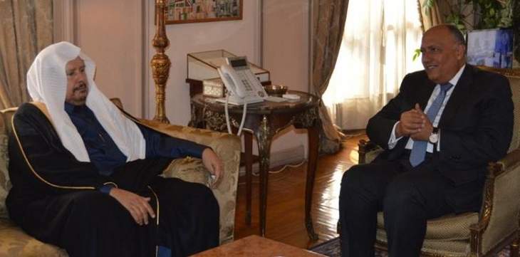 وزير خارجية مصر ورئيس مجلس الشورى السعودي بحثا بالقضايا الإقليمية وآفاق العلاقات المشتركة