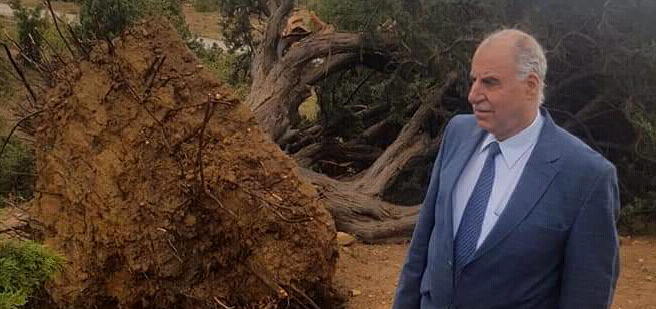 رئيس بلدية مشمش جال على المناطق المتضررة من العاصفة وطالب بالتعويض عليها