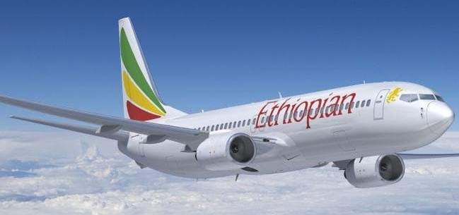 6 مصريين ومغربيان وسوداني وسعوديان ويمني من بين ضحايا تحطم الطائرة الإثيوبية