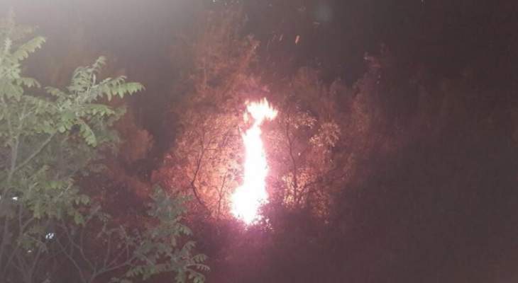 إخماد حريق قندول وأشجار سنديان في راس اسطا وحريق أعشاب وقصب في كفرشيما