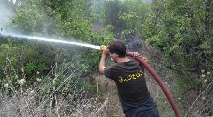 اندلاع حريق في بلدة مشحا واتى على مساحة من اشجار الصنوبر