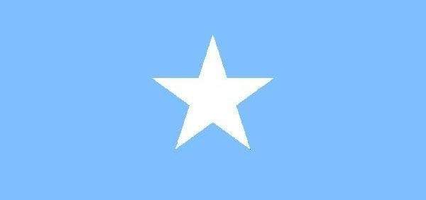 الأناضول: إعدام جماعي لـ 9 مدنيين من قبل مسلحين وسط الصومال