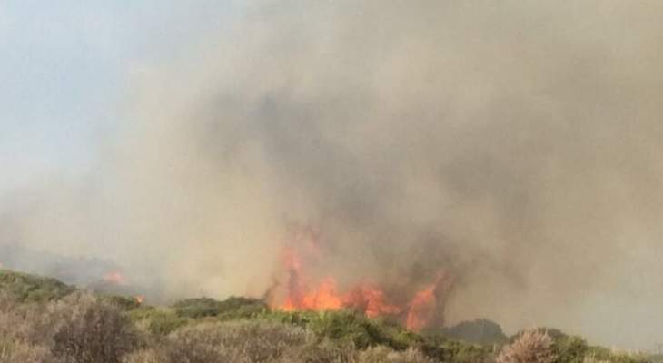 الدفاع المدني:إخماد حريقي نفايات في ضهر العين والكرملية وحريق أشجار في سلعاتا