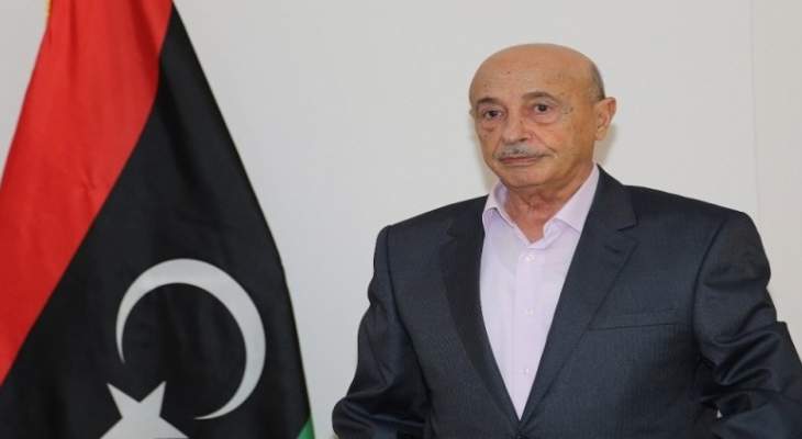 رئيس مجلس النواب الليبي حذّر من مؤامرة التدخل الخارجي في البلاد