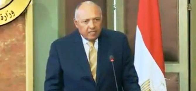 شكري: مصر تدعم كل الجهود للوصول إلى الحل السياسي الملائم في سوريا