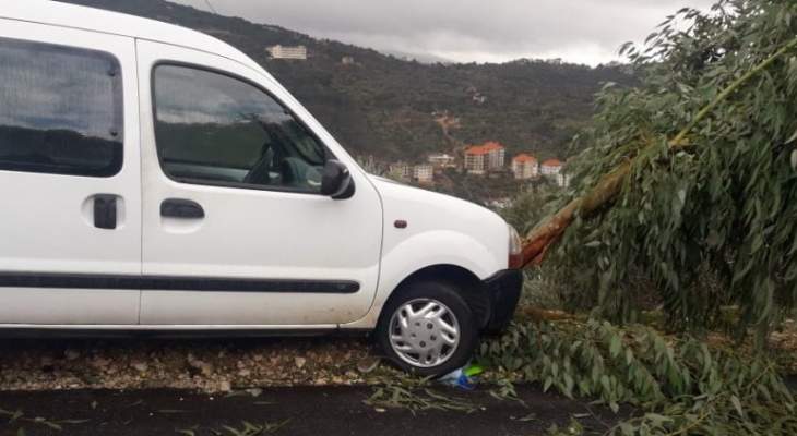 النشرة: انزلاق سيارة بسبب الأمطار على طريق عام حاصبيا واصطدامها بشجرة