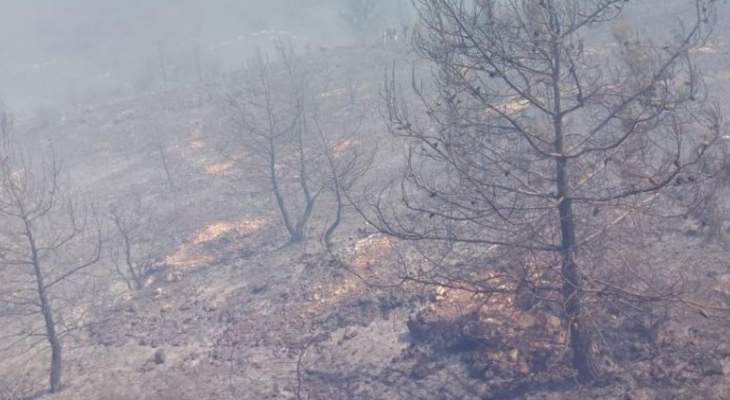 الدفاع المدني: إخماد حريق أعشاب في قدموس وحريق أشجار في كرمسدة