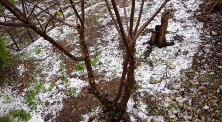 النشرة: تساقط الثلوج في مدينة النبطية