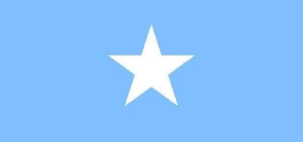 رئيس الصومال يتعهد ببذل جهد أكبر بعد وقف أميركا مساعداتها للجيش