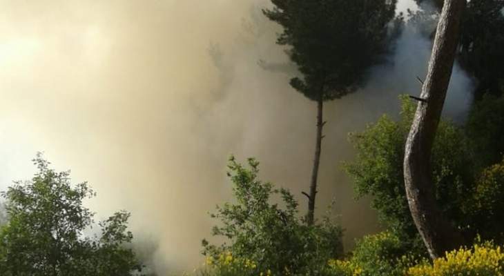 الدفاع المدني: إخماد حريق في أعشاب يابسة وهشيم وأشجار صنوبر في عيناب