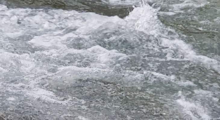 المصلحة الوطنية لنهر الليطاني: حماية النهر تكون من خلال وضع نظام وتصميم توجيهين لحوضه
