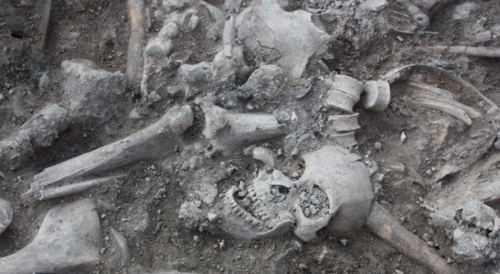 إكتشاف هياكل عظمية لجنود صليبيين قتلوا خلال الحروب الصليبيّة في صيدا القديمة