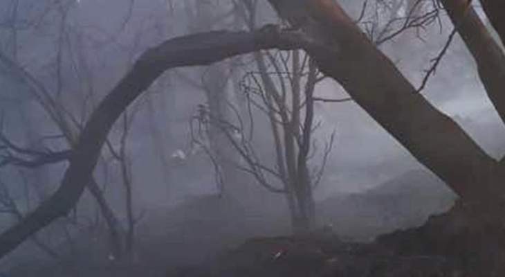 السيطرة على حريق أشجار في وادي شحرور وإخماد حريقي أعشاب في عكار ومعروب