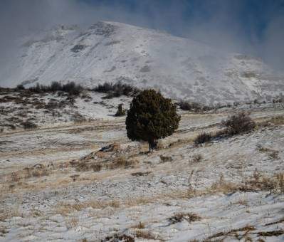 الثلوج غطت المرتفعات الجبلية في محافظة عكار وانقطاع عدد من الطرق