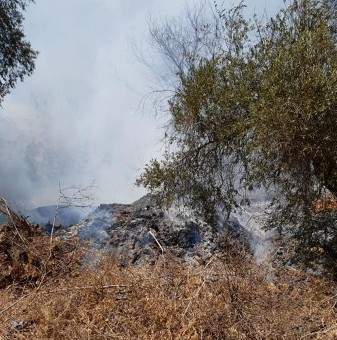 الدفاع المدني: إخماد حريق شب في اعشاب واشجار في بيت شاما