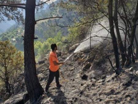 السيطرة على حريق كبير اندلع في غابات حقل الخربة عكار