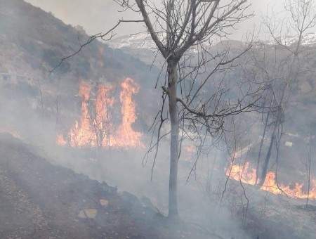 استقدام طوافة تابعة للجيش للمساهمة في إخماد النيران في أحراج الدبية