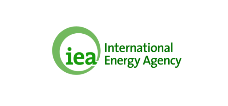 وكالة الطاقة الدولية: نراقب التطورات في مضيق هرمز وعلى استعداد للتدخل