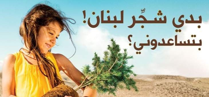 300 متطوع شاركوا جمعية جذور لبنان لزرع أكثر من 500شجرة أرز في كفرذبيان